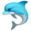 Apple DOLPHIN