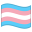 Google TRANSGENDER FLAG